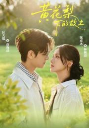 黄花梨下的故土
